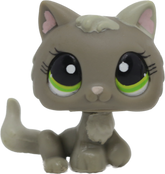 #1035 Kitten